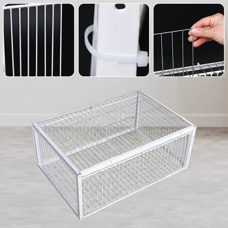 Cage à Oiseaux t
